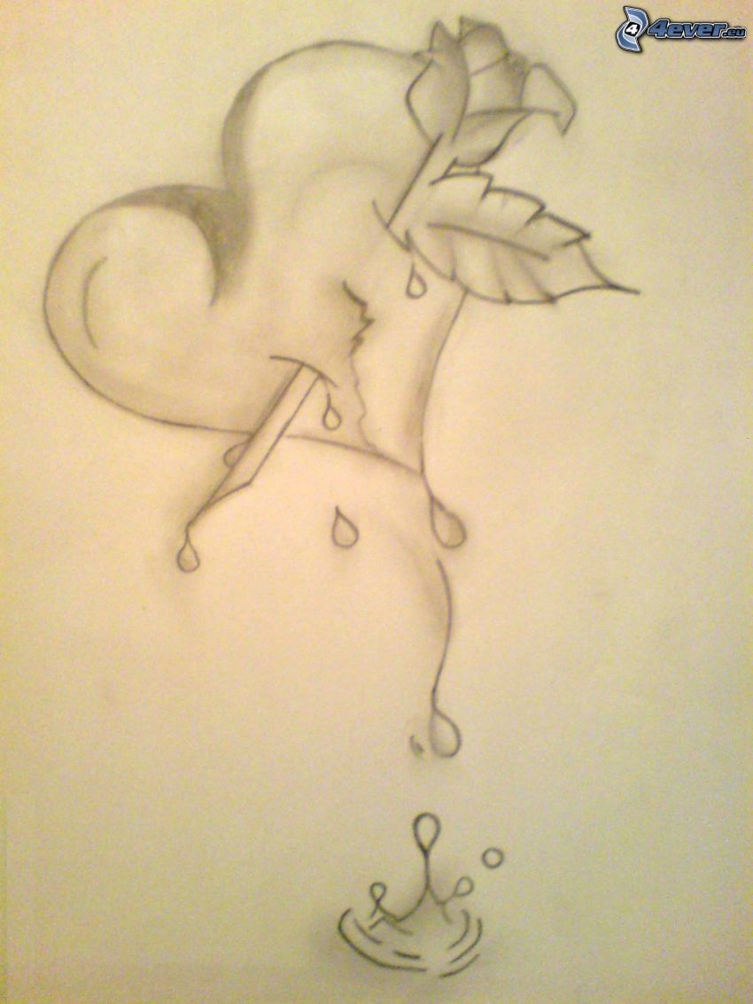 pierced heart, cartoon heart, Cartoon rose, blood, drop