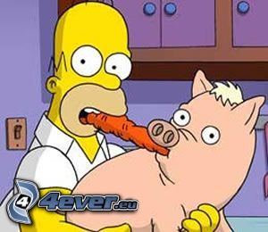 Homer Simpson, pig, carrot