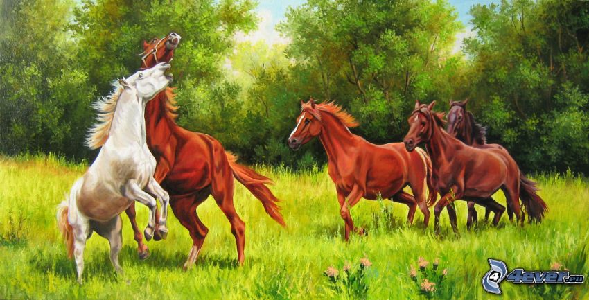 horses, meadow