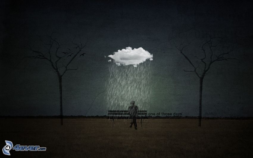 man on the bench, rain