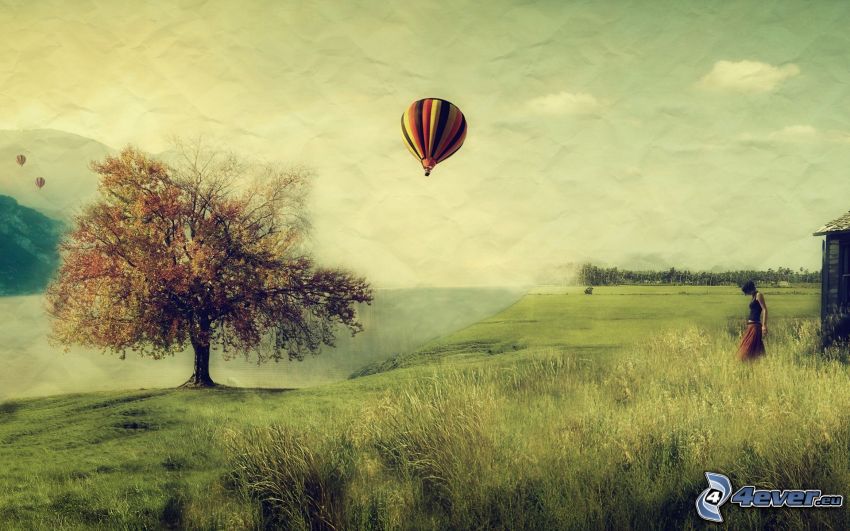 meadow, tree, balloon