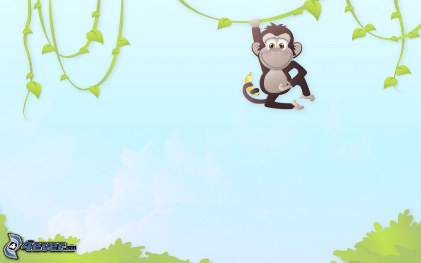 monkey, lianas