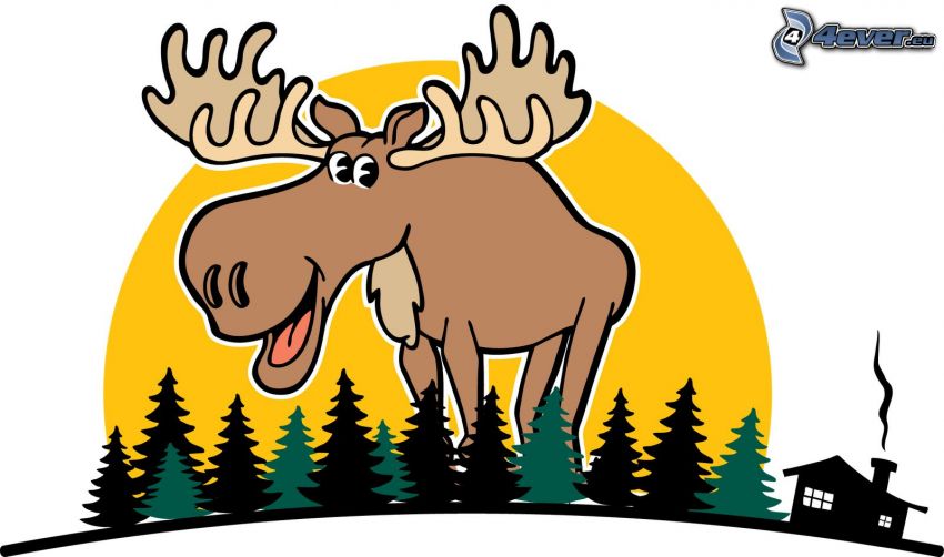 moose, forest, cottage