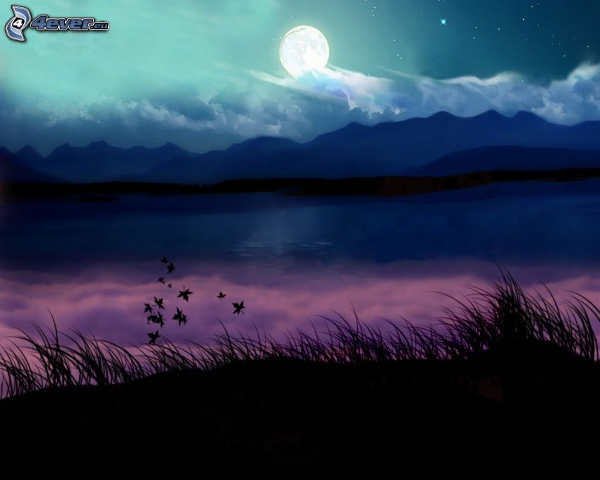 night, moon, lake, mountain, grass