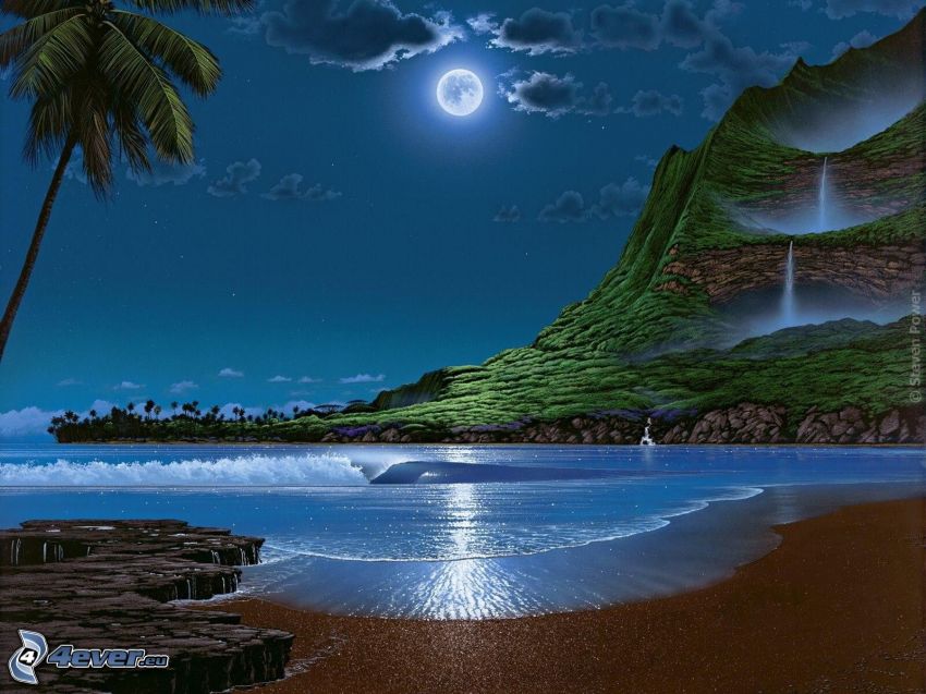 night, sea, beach, hill, waterfalls, palm tree, moon