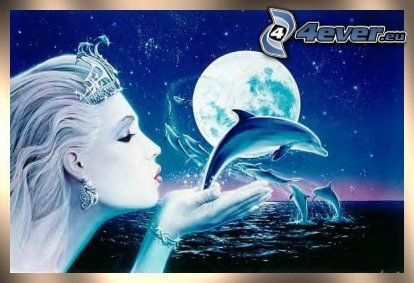 night fairy, jumping dolphins, full moon