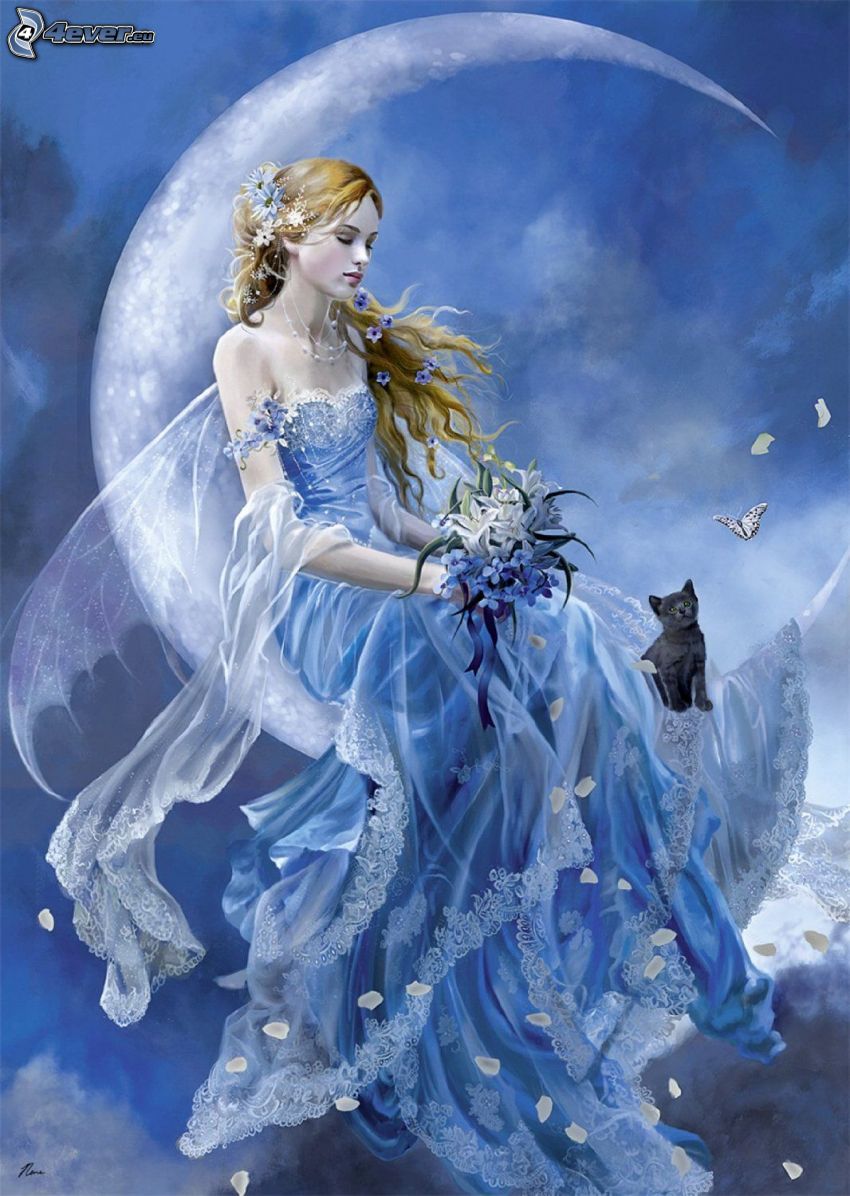 night fairy, moon, bouquets, cat, butterfly
