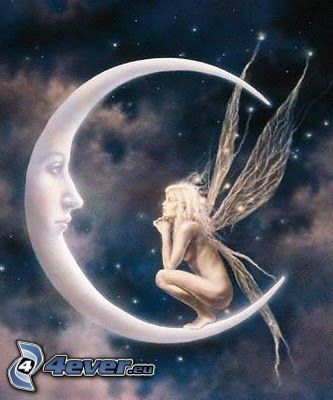 night fairy, moon