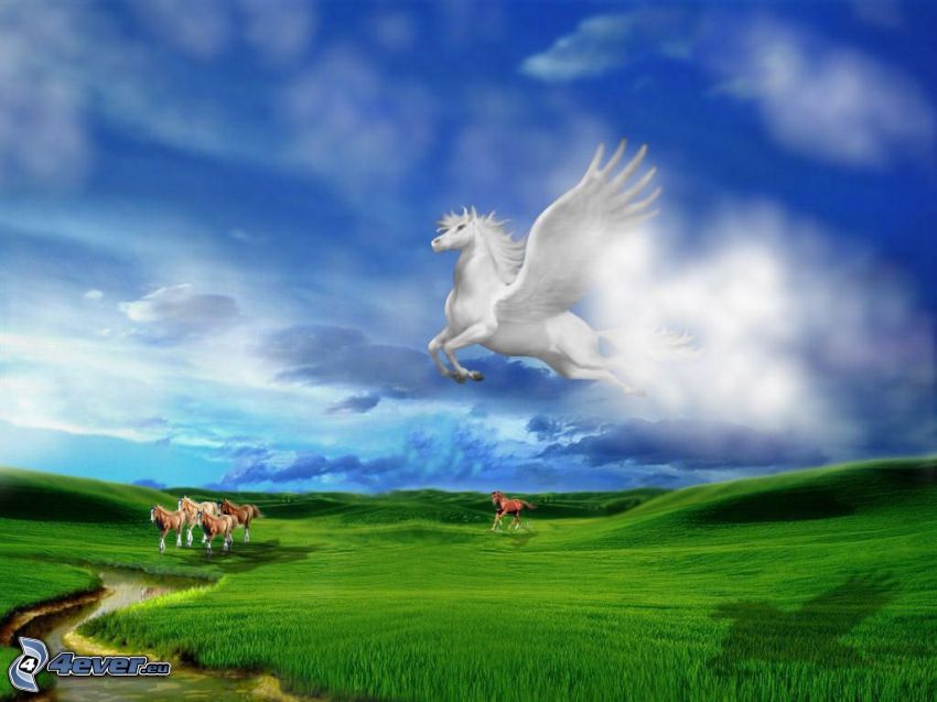 Pegasus, herd of horses, green meadow