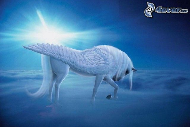 Pegasus, horse, heaven