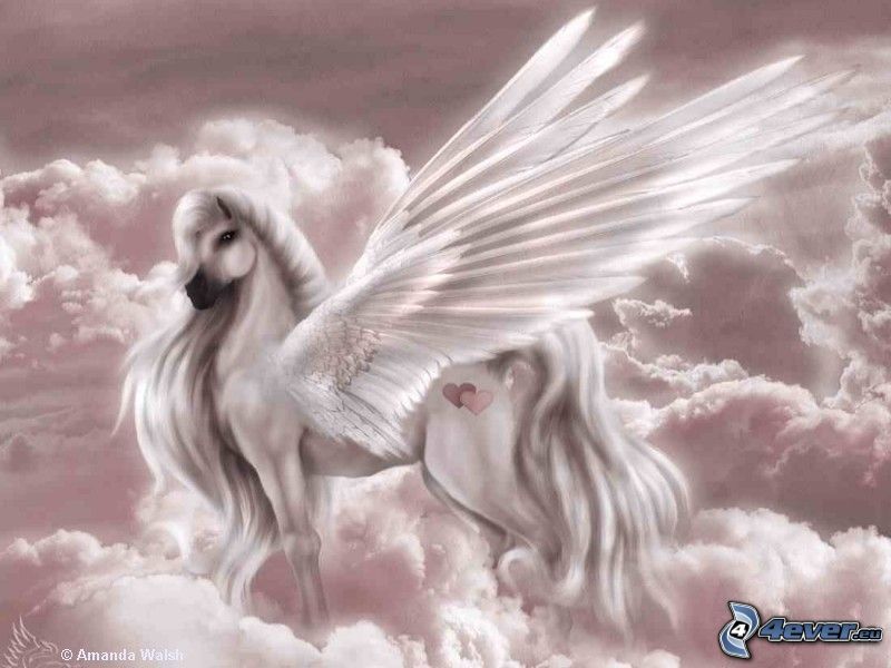 Pegasus, white horse, sky