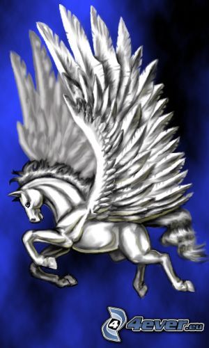 Pegasus, wings, white horse