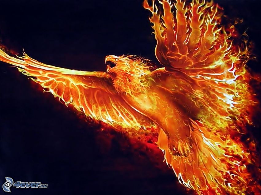 Phoenix, fiery bird