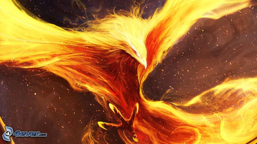 Phoenix, fiery bird