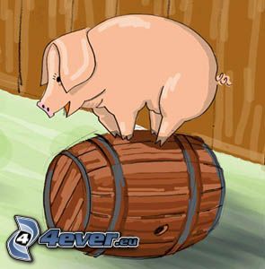 pig, barrel