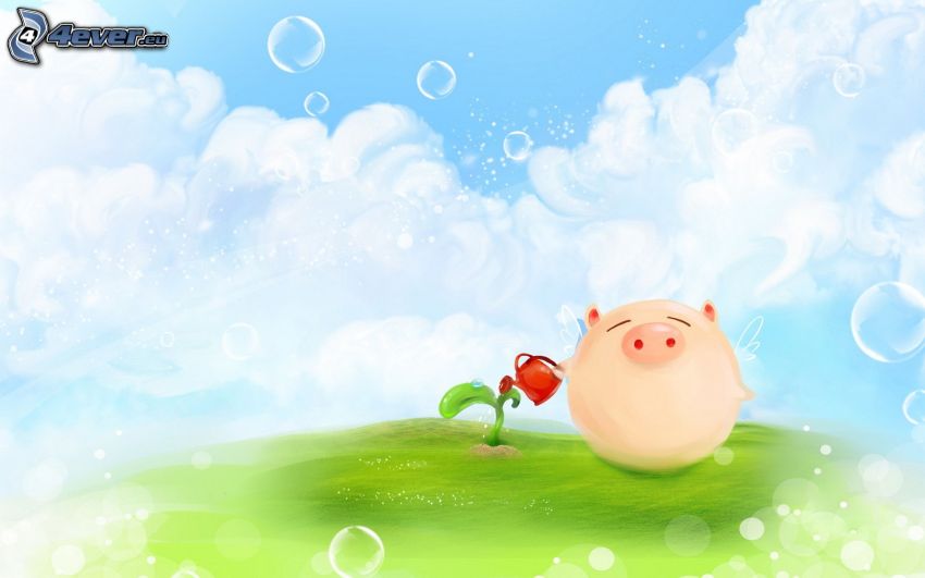 pig, herb, watering-can, clouds, bubbles