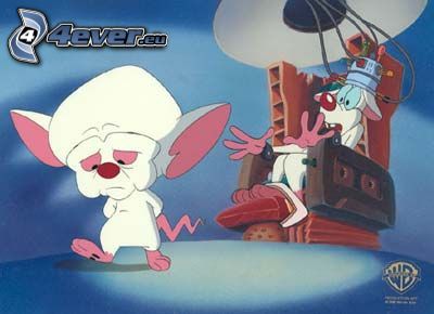 download pinky and the brain and animaniacs