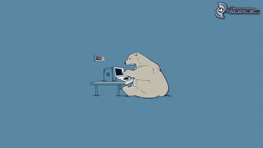 polar bear, computer