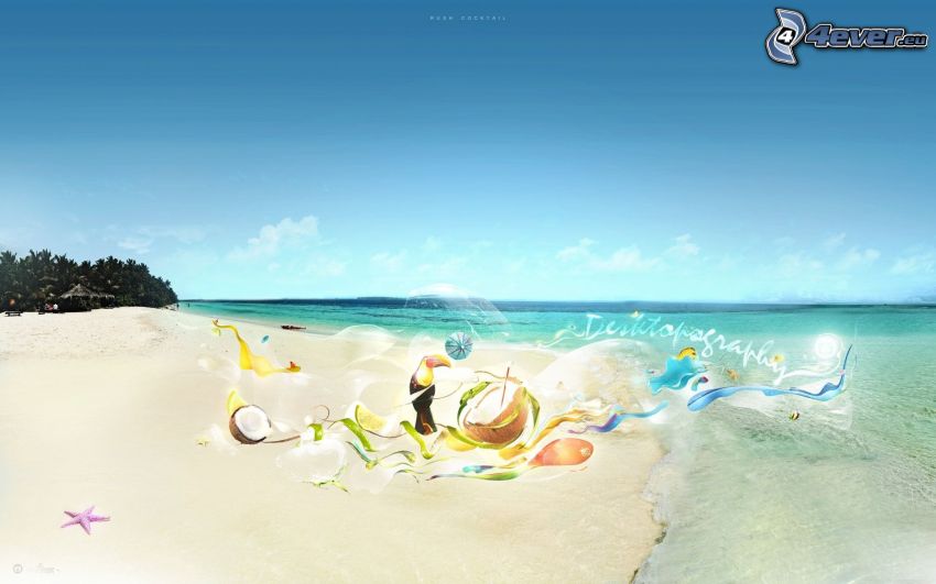sandy beach, toucan, coconut, sea