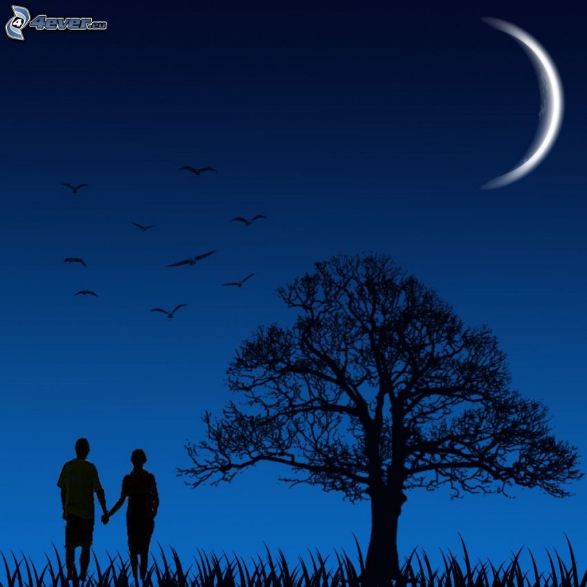 silhouette of couple, silhouette of tree, moon