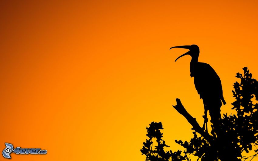silhouette of stork, orange sky