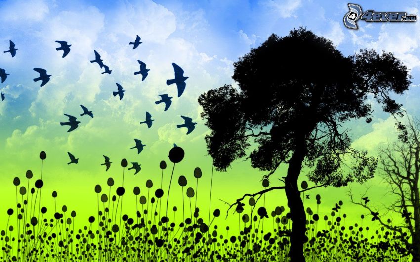 silhouette of tree, flock of birds, plants