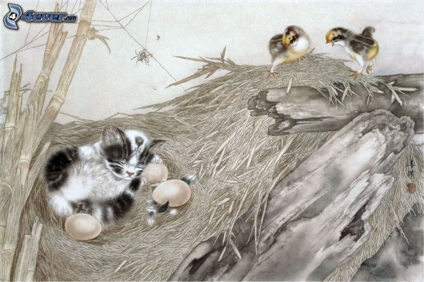sleeping kitten, nest, eggs, birds