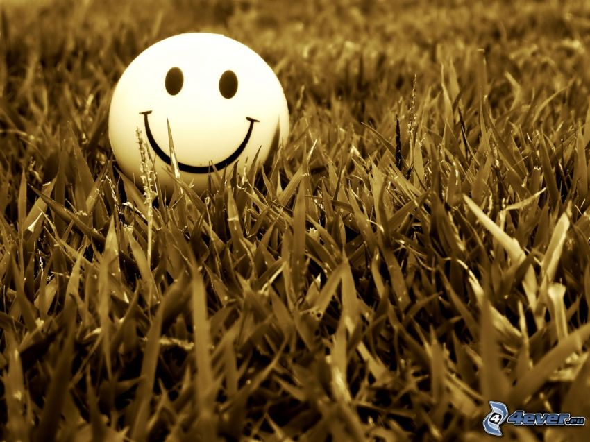 smiley, grass