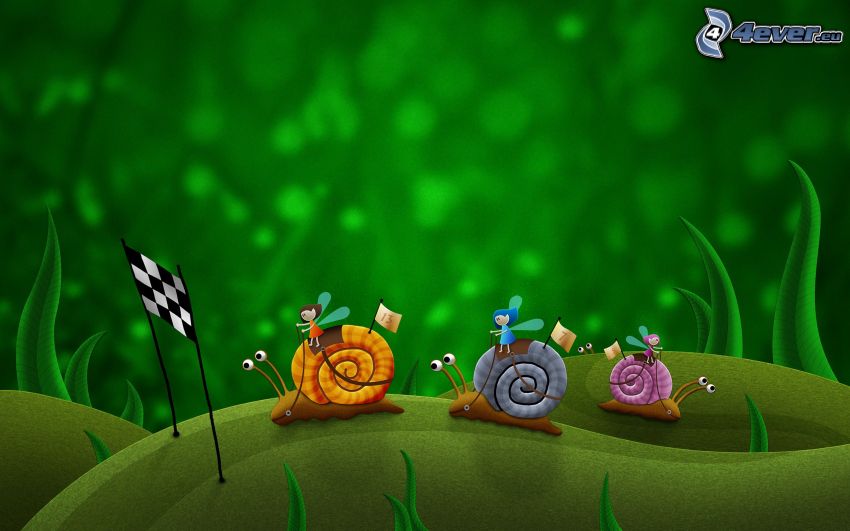 snails, race