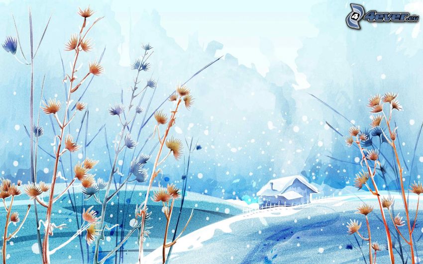 snowy cottage, high grass, snowfall