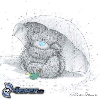 teddy bear, umbrella