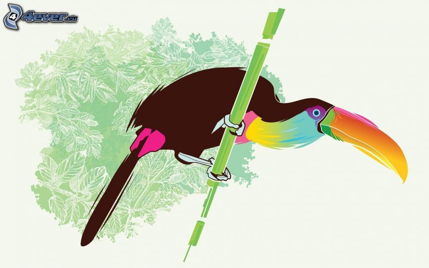 toucan, cartoon bird