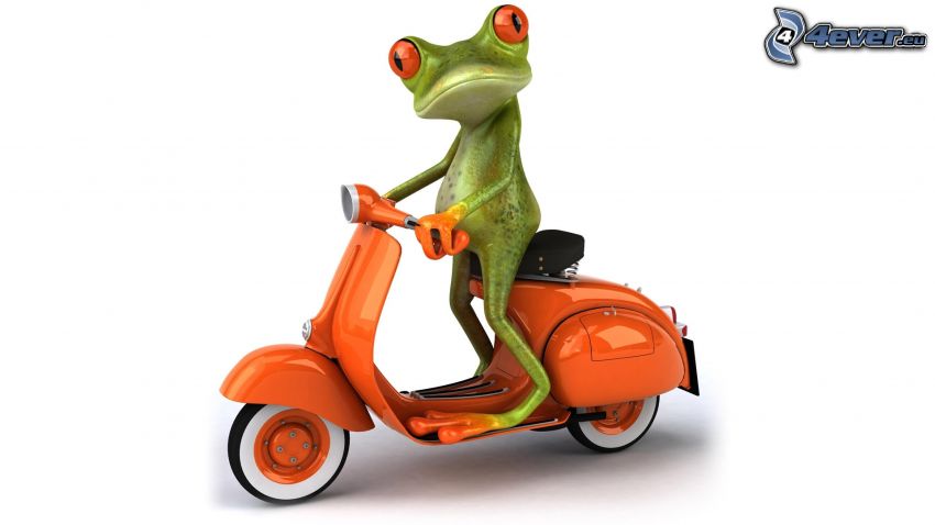 tree-frog, scooter