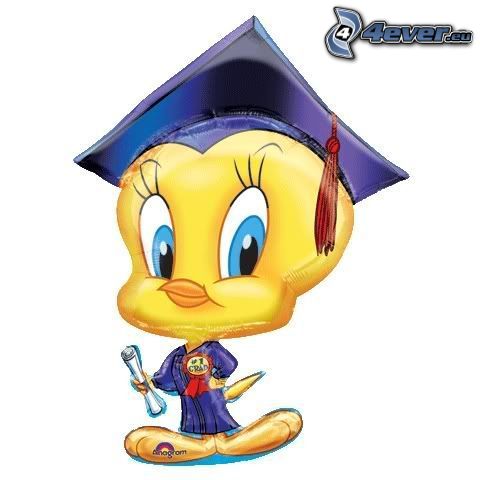 Tweety, graduate, diploma
