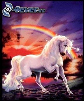 unicorn, rainbow