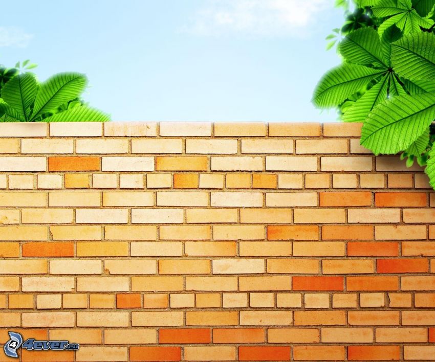 wall, bricks, green leaves