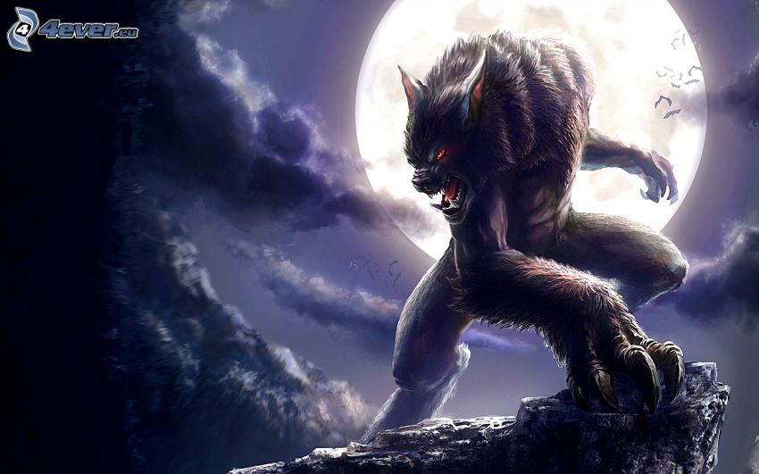 werewolf, moon, night