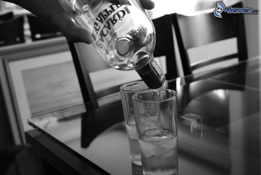 alcohol, glasses, ice cubes, bottle, black and white