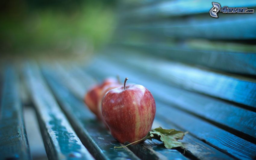 apple, bench