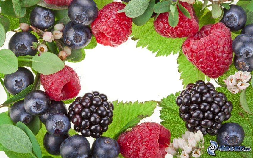 berries, blackberries, blueberries, raspberries