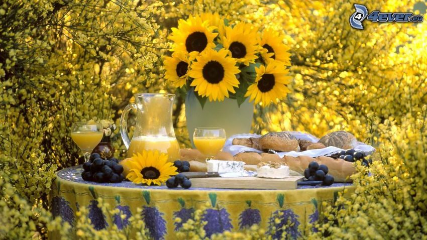 breakfast, sunflowers, fresh juice