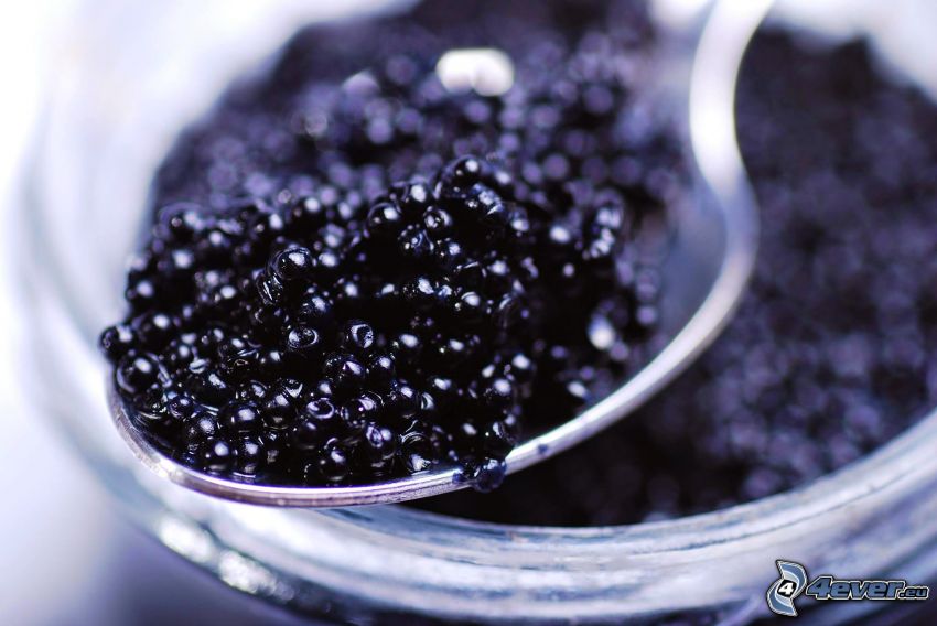 caviar, spoon