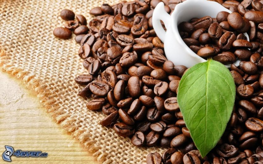coffee beans, cup, green leaf