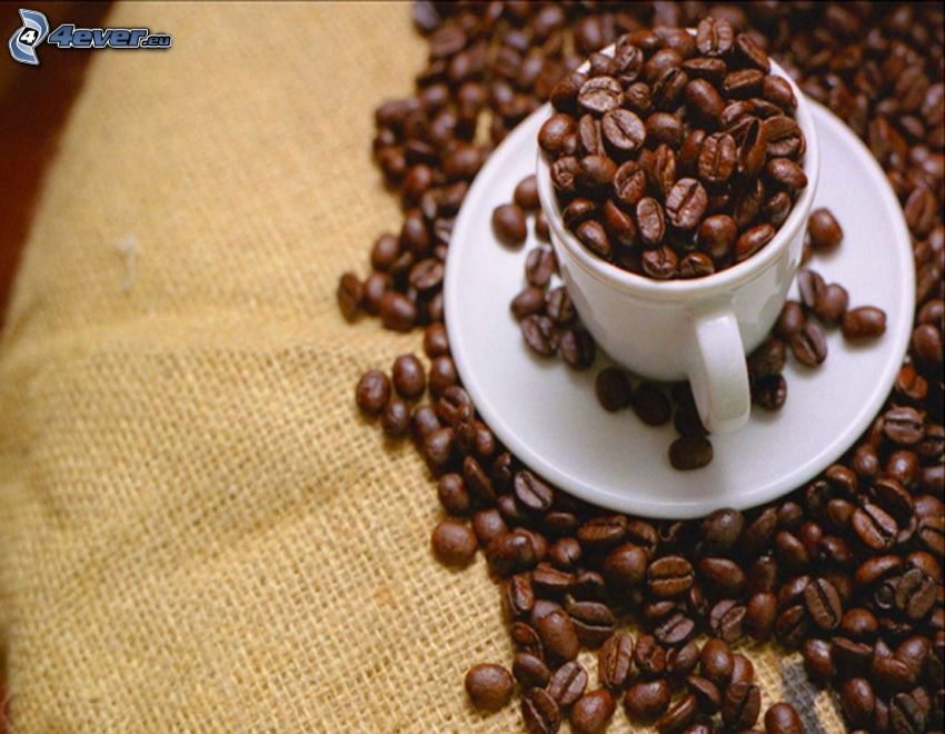 coffee beans, cup