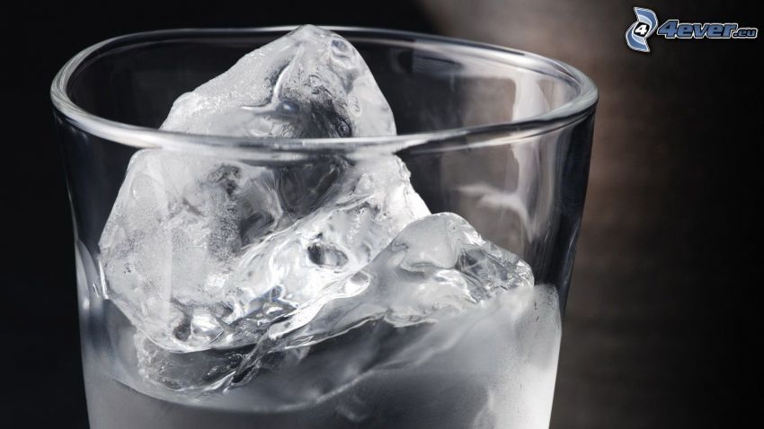 cup, water, ice cubes, black and white