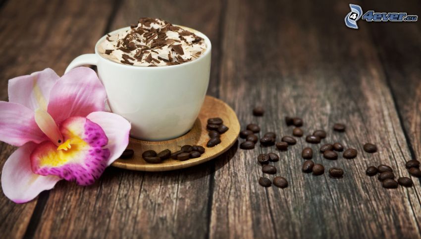 cup of coffee, coffee beans, Orchid