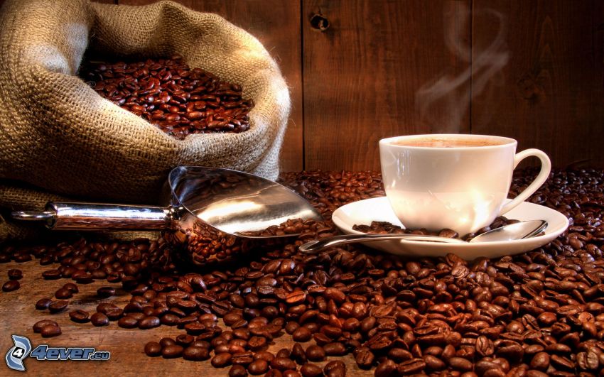 cup of coffee, coffee beans
