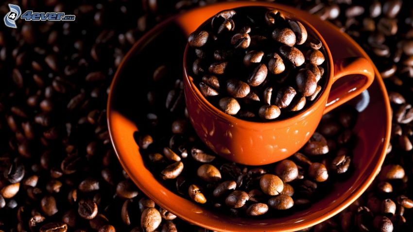 cup of coffee, coffee beans