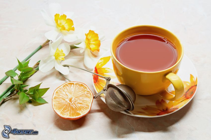cup of tea, daffodils