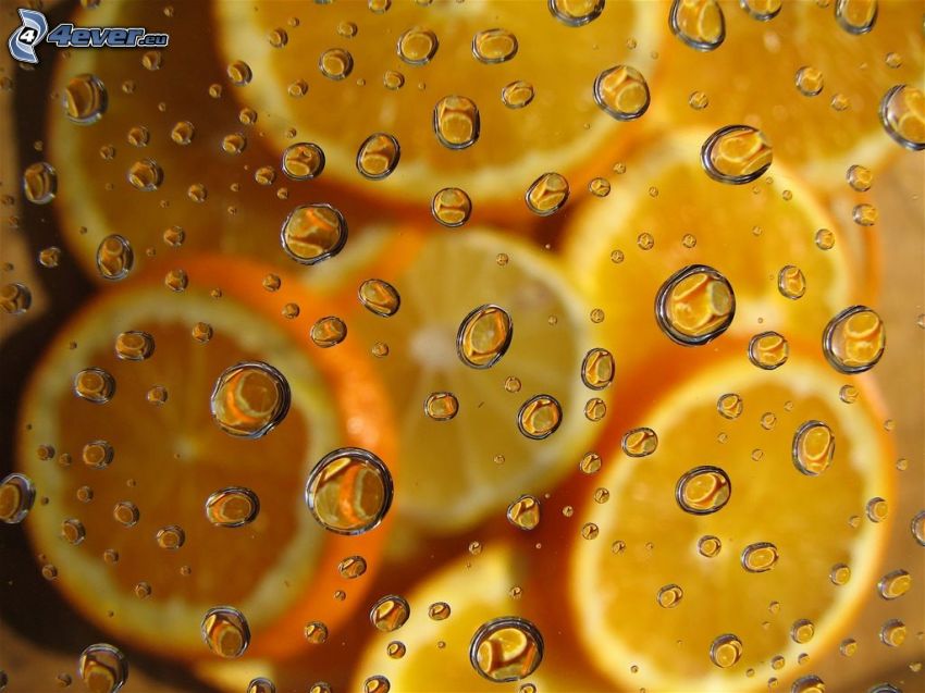 drops of water, glass, oranges